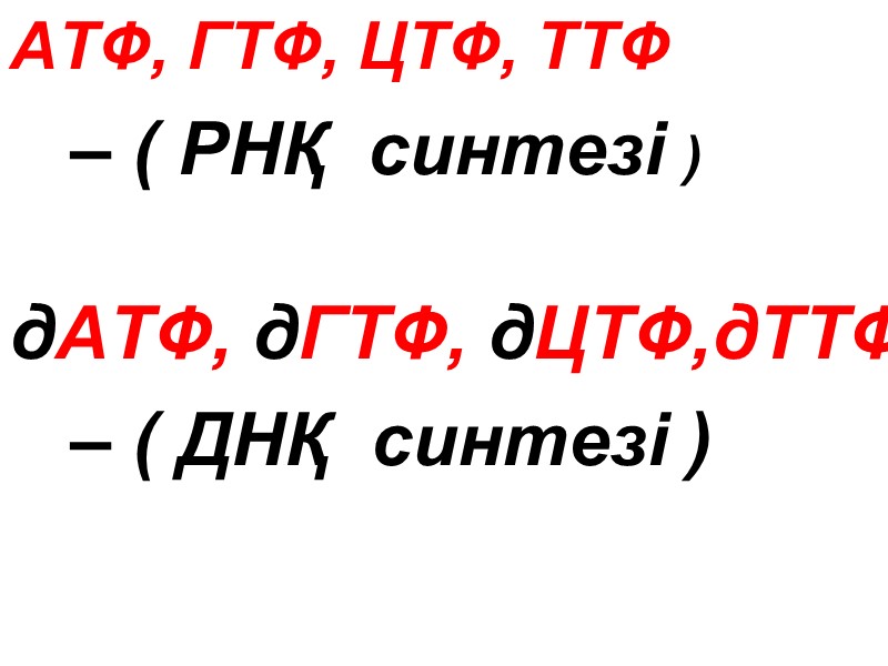 АТФ, ГТФ, ЦТФ, ТТФ    – ( РНҚ  синтезі ) 